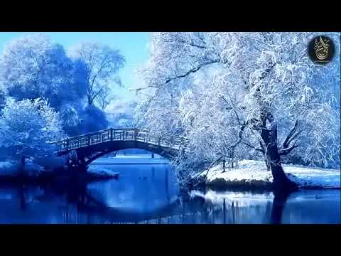 اروع تلاوات للقارئ الشیخ اسلام صبحي Eslam Sobhi The Greatest Telawah Of Al Qoran Alkarim