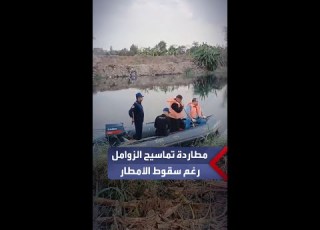 رغم سقوط الأمطار فريق الصيد يطارد تماسيح مصرف قرية الزاومل بالشرقية باستخدام القوارب المطاطية