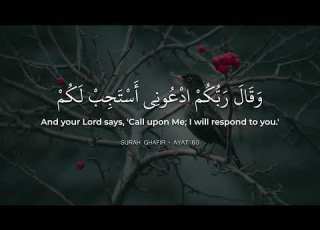 Surah Luqman Beautiful Quran Recitation By Hazza Al Balushi