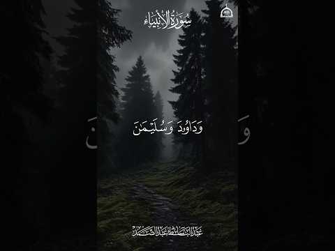 وداود وسليمان إذ يحكمان في الحرث عبدالباسط عبدالصمد اكسبلور راحة نفسية المنشاوي قرآن Quran Explore