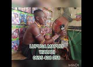 LUPUGA MAPULI WAZAZI 2023 Offical Audio 0695408058 By N Record