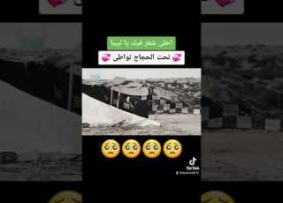  تحت الحجاج تواطى