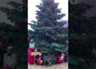  Merry Christmas عيد ميلاد مجيد كل عام وانتم بخير