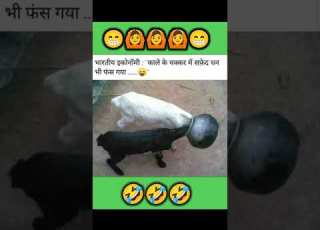  Kali Bakri Safed Bakri Mast Comedy Comedy Went For End