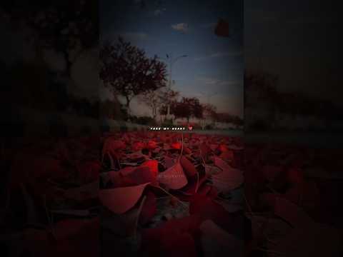 Cheri Cheri Lady Slowed Reverb Modern Talking Chericherilady Moderntalking Cheri Cheri Lady Slowed Reverb Modern Talking Chericherilady Moderntalking