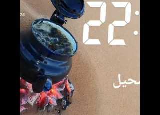  افضل شاهي ليبي