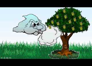  The Olive Tree And The Wind