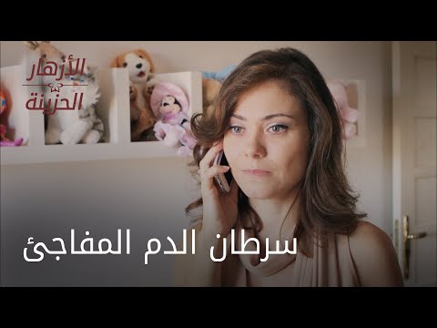 سرطان الدم المفاجئ الحلقة 36 الأزهار الحزينة