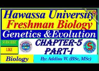 5 1 Freshman Biology Genetics Mutation Replication Transcription Translation Chapter5 Part1