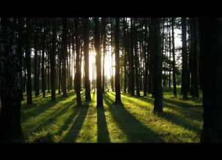  Sezen Aksu Deli Divane Full Hd Audio 2021