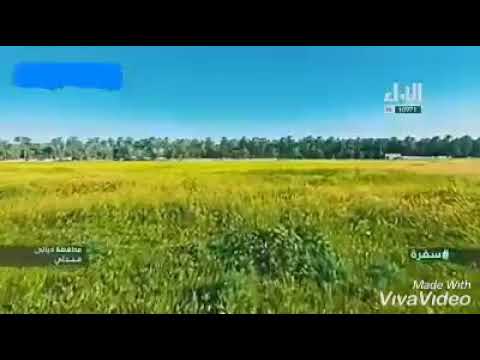 اغنية كردية يبحث عنها الجميع كردي نسريني مع اجمل جولة في سماء مندلي الحبيبة