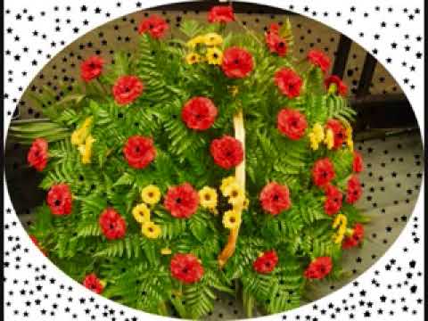 NEWS Oromo Music Badru Ibro 08 02 2025