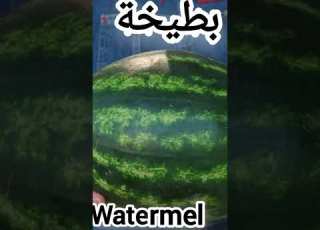  أغنية البطيخة
