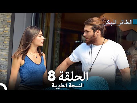 النسخة الطويلة المكتب 8 سلسل الطائر المبكر