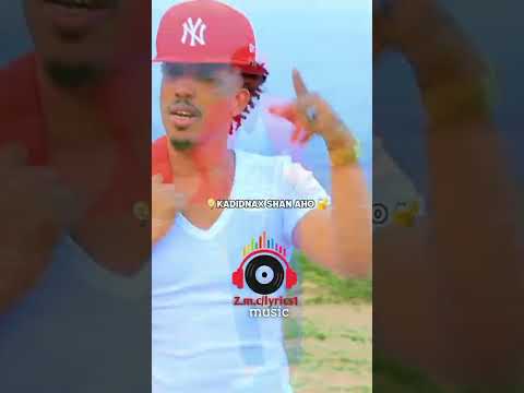 Ilkacase Qays Dhaanto Cusub