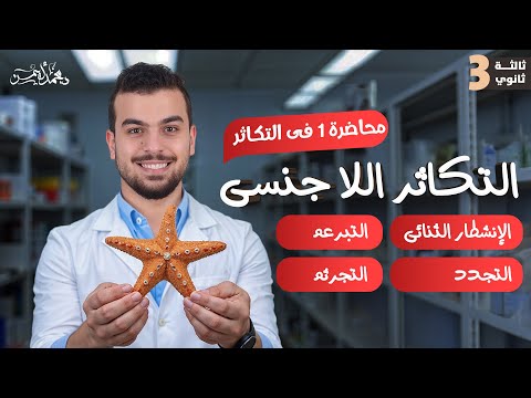 التكاثر اللاجنسي وفرشة مهمة لفصل التكاثر كاملا الإنشطار والتبرعم والتجدد والتجرثم