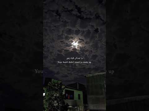 سعد لمجرد أنتي بغية واحد ما بغاش قلبك يفيق حالات واتس اب مع الكلمات مترجمة للأنكليزية