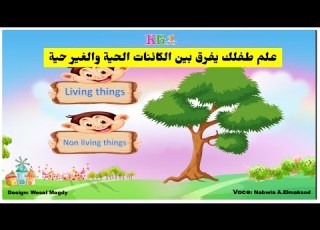  Living Non Living Things علم طفلك يفرق بين الكائنات الحية والغير حية