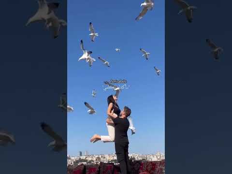 ساكته ليه اتكلمى وائل جسار