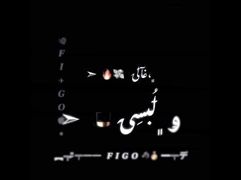 حالات واتس اسلام كابونجا مهرجان شكلي قمور ومحترم عندنا 3 اهرمات ونا يابا 4 هرم Soon 2025