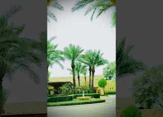  Desert Hotel Bab Al Shams Shortsfeed Sanu Gvr Shorts Dubai Desert Hotel Resort
