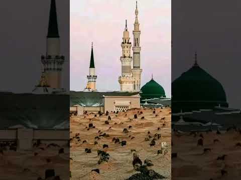 Madinesebulawaaarahahai Unfrezzmyaccount Madinesebulawaaarahahai Unfrezzmyaccount