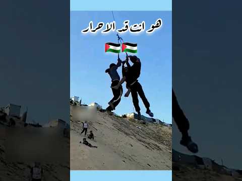هو انت قد الاحرار قد الفلسطينية بنموت وما نسلم دار غزة الان