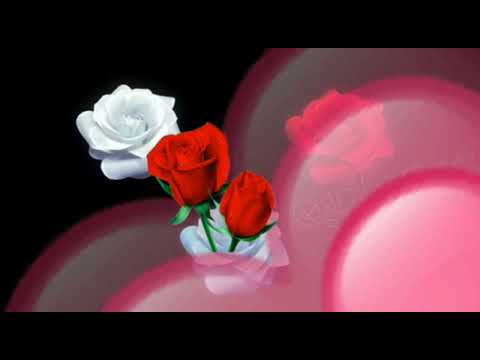 AMEEN THUMMA AMEEN BIJAHI SYDA FAƊIMA ALAIHAS SALAM SABO DAKAI SABUWAR QASIDA