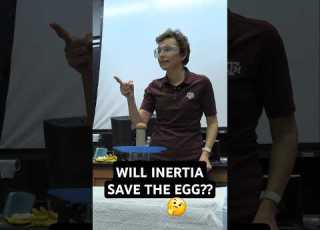 SMACK An Egg Will Inertia Save It Shorts DrTatiana