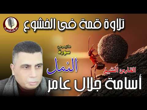 الشيخ اسامة جلال عامر ما تيسر من سورة النمل تلاوة فى قمة الخشووع