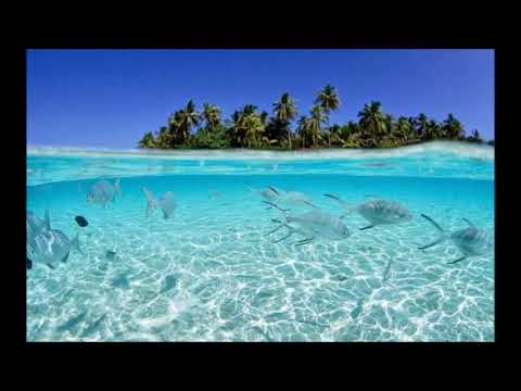 سورة الإنسان الشيخ مشاري راشد تلاوة قديمة