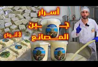اسرار صناعة جبن من قلب المعامل جبنة البلدية جبنه مسنرة جبنة مغلية