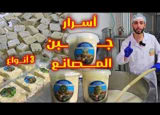 اسرار صناعة جبن من قلب المعامل جبنة البلدية جبنه مسنرة جبنة مغلية