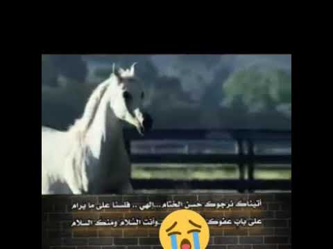 تمر بنا الايام سرعه كاننا اغنيه حزينه