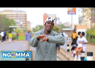  POMBE BY MOLISS B PLATNUMZ Official Audio 4K HD