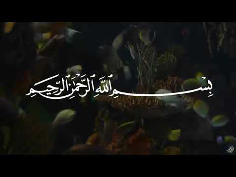 سورة يس عبدالباسط عبدالصمد SURAH YASIN Abdulbasit Abdussamad سورة يس عبدالباسط عبدالصمد SURAH YASIN Abdulbasit Abdussamad