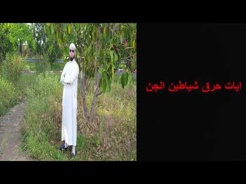 ايات العذاب والحريق للشيطان العنيد والمتجبر ايات العذاب والحريق للشيطان العنيد والمتجبر