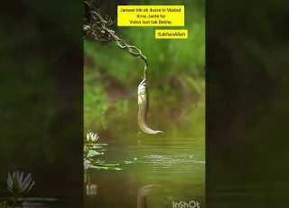 Allah Ki Kudrat Allah Islam Islamicstatus