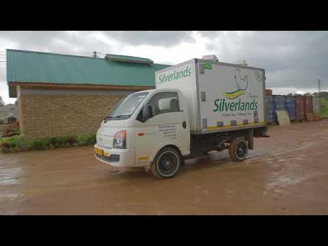 Silverlands Poultry Tanzania
