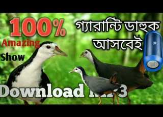  Dak Pakhir Dak Suara Ruak Ruak Waterhen Sound ড উক প খ র ড ক ড হ ক প খ র ড ক