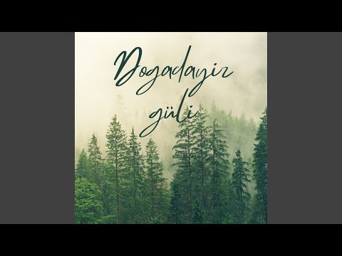 Şelale Feat Salih Yılmaz