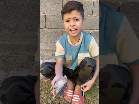 العصفور مات