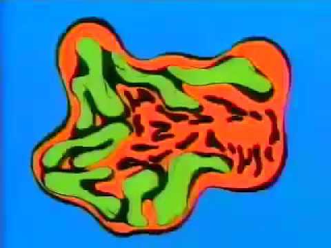 Teenage Mutant Ninja Turtles Intro 80s