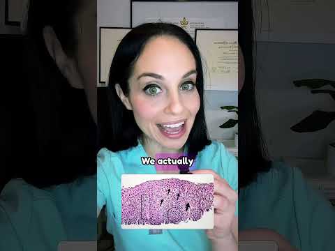 Diagnosing Eosinophilic Esophagitis Doctor Gastroenterologist Eoe Shorts