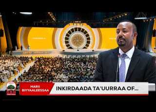  Inkirdaada Seenaa Ta Uu Irraa Of Oolchuu Qabna Ministira Muummee Abiyyi Ahmad PhD