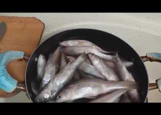  طريقة تنضيف سمك ابو خريزة وعدادة اكلات عراقيه