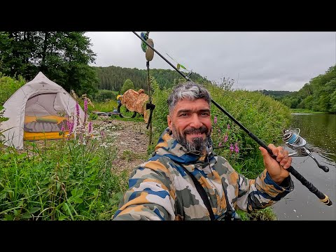 Camping Hunting And Exploring The Life Of The Forest At Night