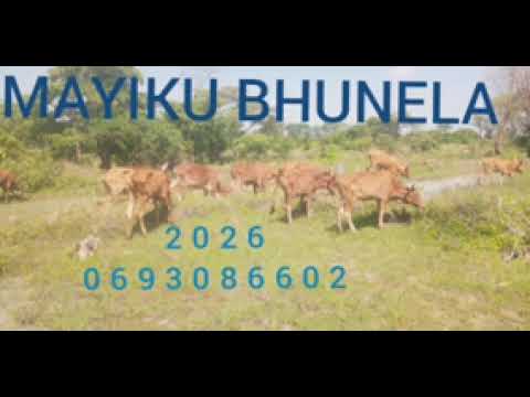 Mayiku Bhunela 2026 Ujumbe Bhanesi