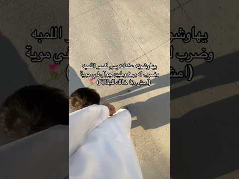 يهاوشونه عشانه بس كسر اللمبه وضرب له ورع وطيح جوال في مويه امش وانا خالك للبقاله