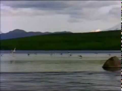 سبحان من سجد له المصلون Avi